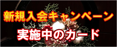 プラチナカードの新規入会キャンペーン情報